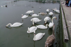 DSCF1326