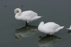 DSCF1327