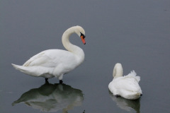 DSCF1328