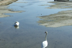 DSCF2674
