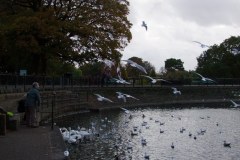 DSCF1296