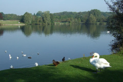 DSCF1791