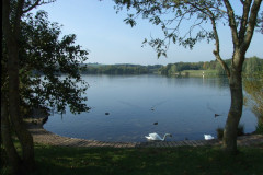 DSCF1799