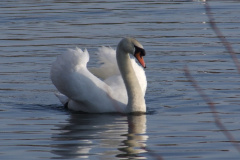 DSCF2189