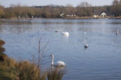 DSCF2193