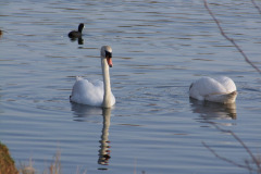 DSCF2195