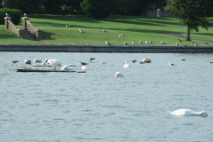 DSCF2844