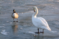 DSCF3470