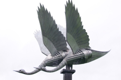 DSCF6037